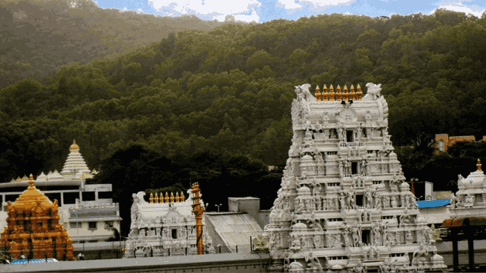 key twist in tirumala adulterated ghee case nddb report says no animal fat
